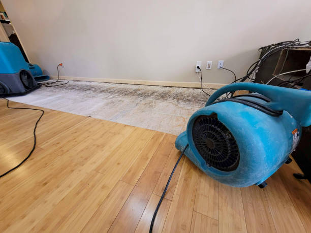 Professional Water Removal technician working in Leander, TX